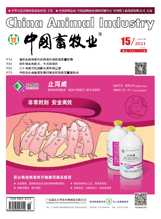 经济会计