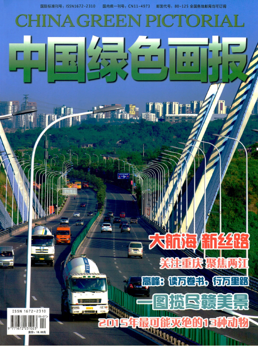 经济会计