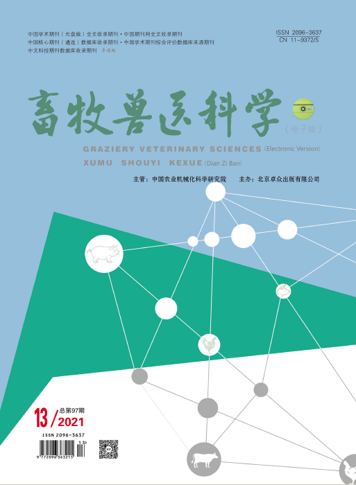 期刊