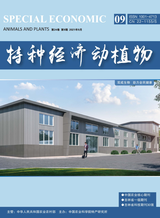 经济会计