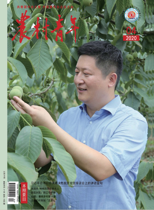 期刊