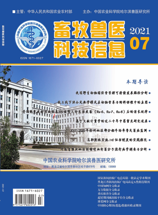 经济会计