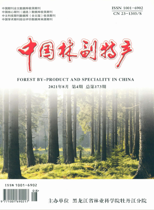 期刊