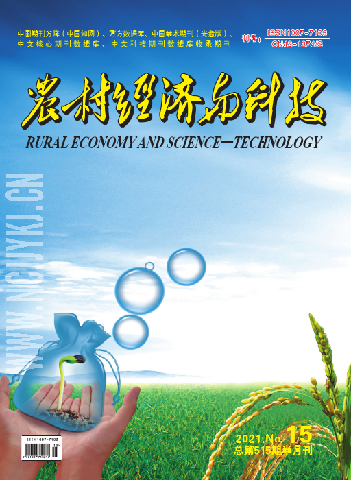 期刊