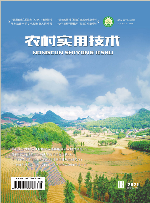期刊