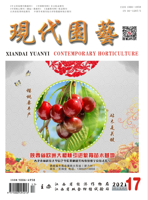 期刊