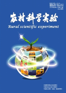 经济会计