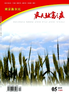 期刊